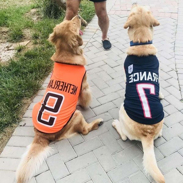 

big golden labrador medium sized big dog pet clothes summer thin