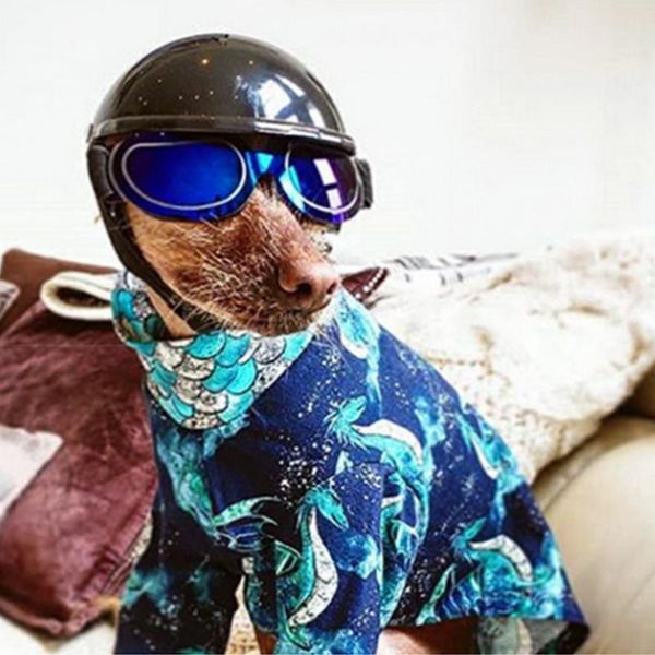 

dog apparel pet helmets for motorcycles fashion abs hat helmet plastic protect ridding cap
