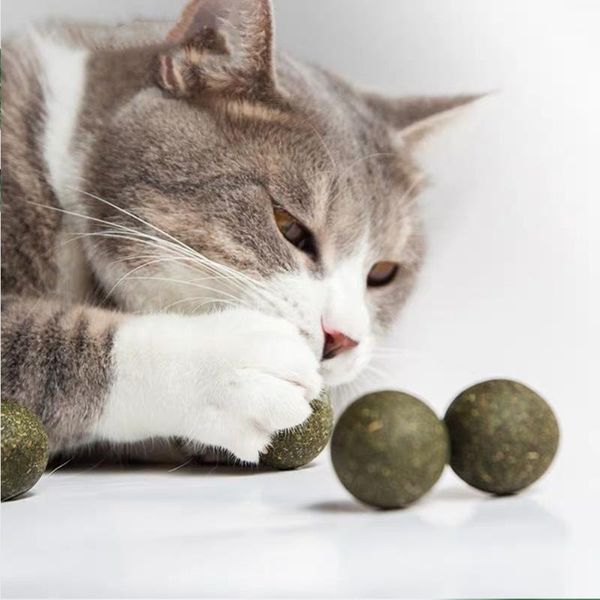 

cat toys 3pcs natural catnip mint balls edible chasing hair cleaning