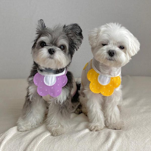 

dog apparel high-quality big promotion pet saliva towel with puppy products home product family exclusive 2021