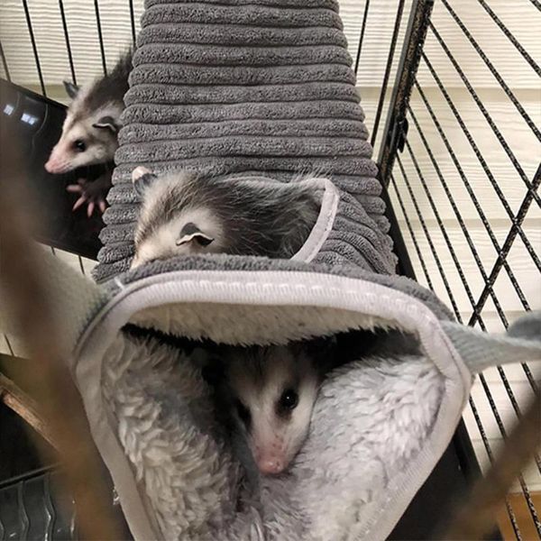 

flannel warm hamster tunnel hammock for small animals r glider tube swing bed nest sleeping animal supplies