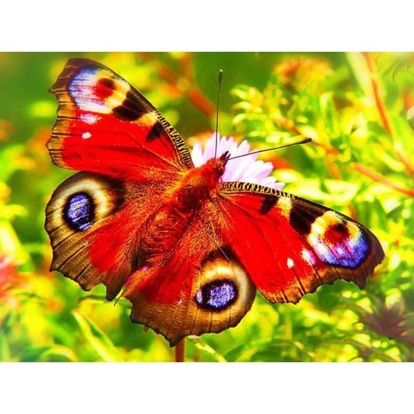 

diamond painting paint with diamonds butterfly animal embroidery cross stitch 5d full square/round mosaic