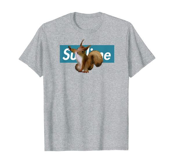 

adorable squirrel t-shirt, cute squirrel shirt in blue box t-shirt, White;black