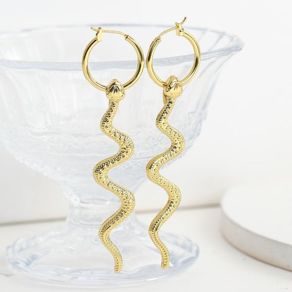 

hoop & huggie punk long snake earring for women wholesale vintage gold silver color earrings 2021 trend jewelry brincos female, Golden;silver
