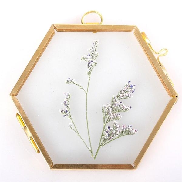 

frames and mouldings modern wall hanging brass hexagon glass artwork certificate po picture display frame geometric ornament plant specimen