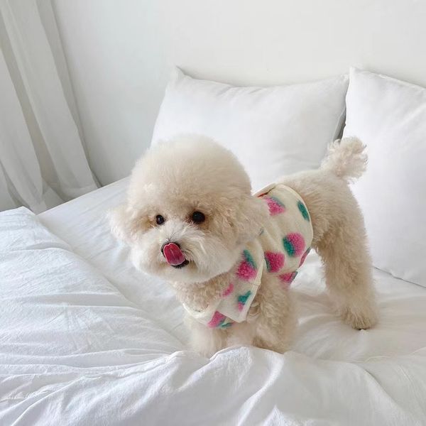 

korean cute cream strawberry dog vt is softer than bear malte small soft waxy pet cloth