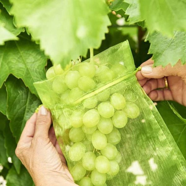 

storage bags 50pcs garden vegetable fruit grow bag plants bird drawstring netting candy makeup mesh pouch pest control