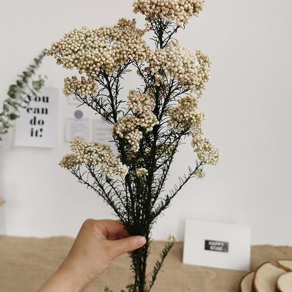 

10pcs natural dried immortal millet flower artificial flowers ramillete flores eternell bouquet for home decor decorative & wreaths