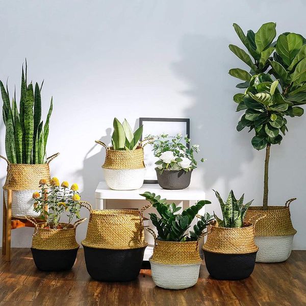 

mulitcolor woven seagrass belly basket nordic storage baskets foldable large laundry picnic garden flower pot planter