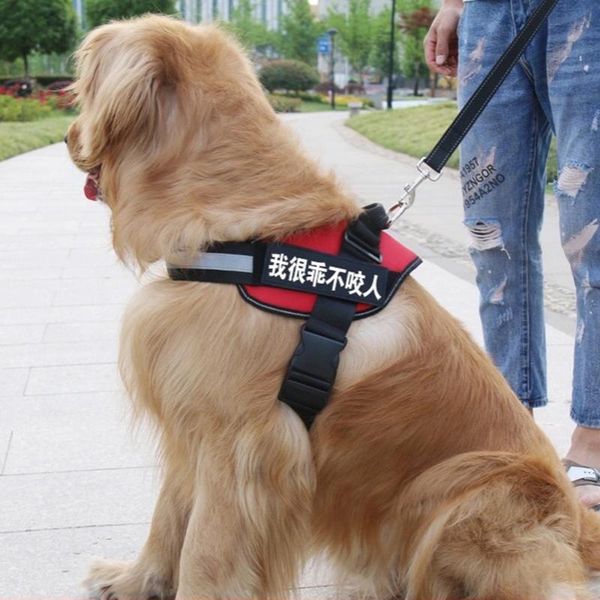 

dog collars & leashes small and large harness with custom patch, adjustable breathable accessory, reflective, vest type