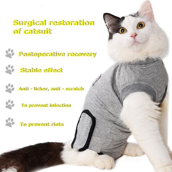 

after the cat sterilization operation to restore clothing pet skin wounds anti licking scratch cotton close-fitting stable costumes