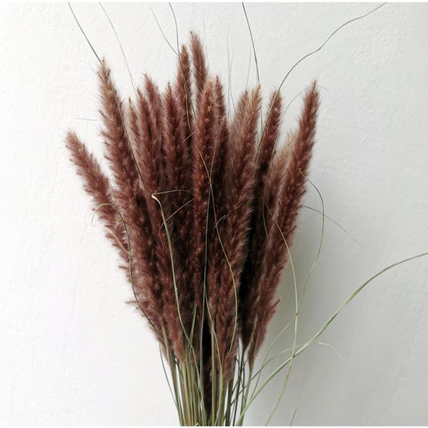

30pcs para decoracion dried small pampas grass flowers pantas artificiales real plants home decor wedding decoration flores
