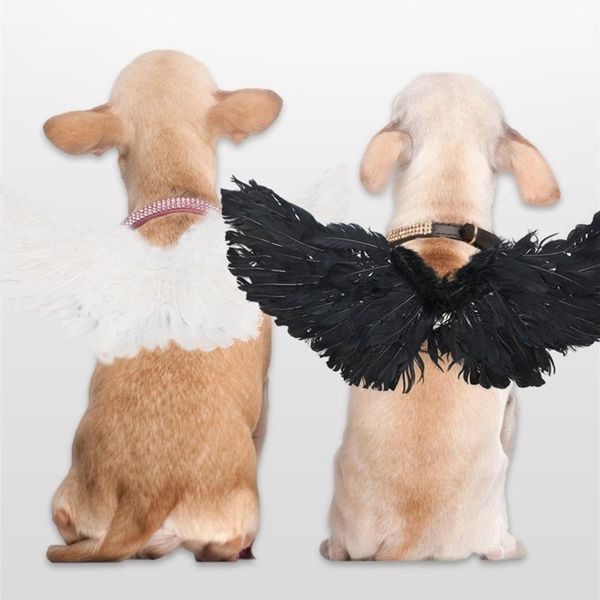 

halloween pet devil angel wing transfiguration coat cosplay props costume suit cat costumes