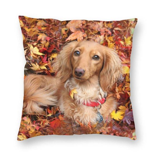 

cushion/decorative pillow dachshund dog print square cover home decorative 3d double-sided sausage wiener badger dogs cushion for living roo