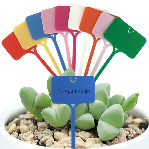 

other garden supplies t-shaped plant tag label potted 100 pieces of vegetable thickened color waterproof plastic sign
