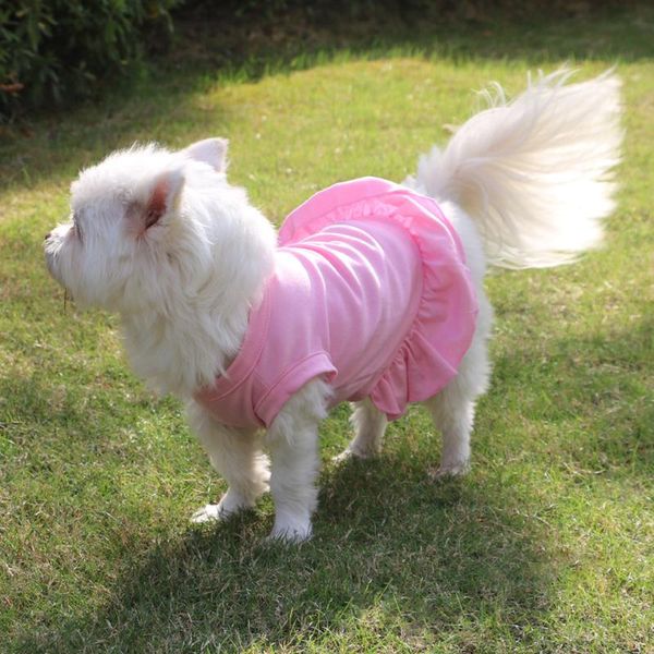 

cat costumes t-shirt solid color dog skirt hem mini pet sweater