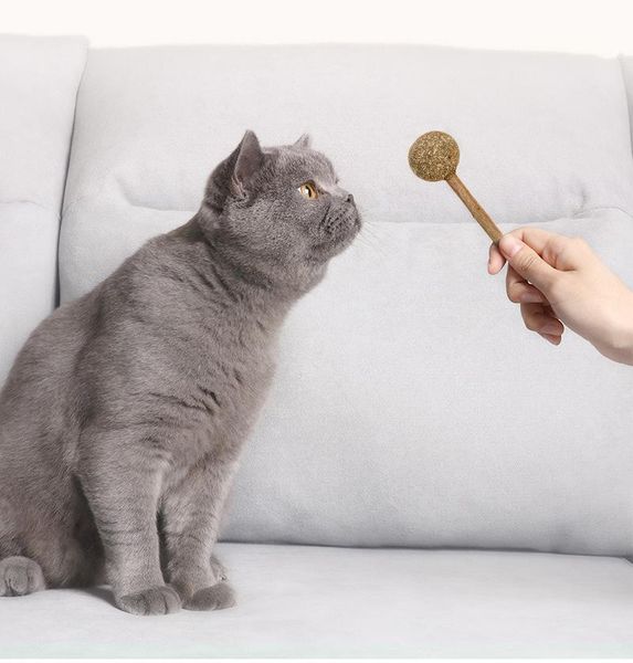 

cat toy pure natural catnip lollipop shape pet molar cleaning teeth funny stick supplies toys