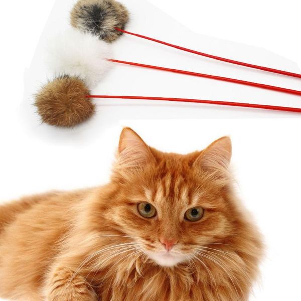 

cat toys style hair fun cats pet kitten jump help tease sticks dogs accessoires drop