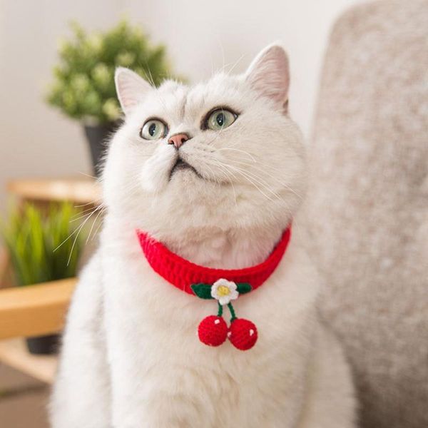

cat collars & leads easy wear diy handmade cherry / flower shaped adjustable knitted collar dog costume puppy bandana kitten scarf
