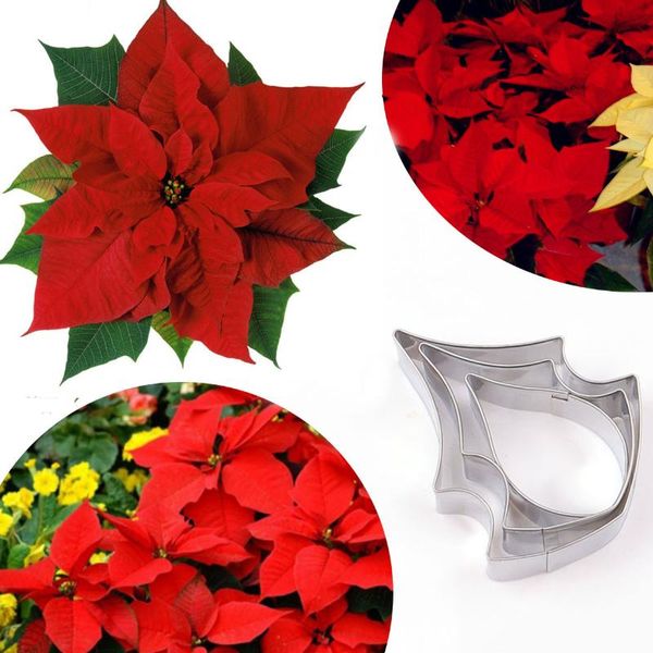 

baking & pastry tools 3pcs/set stainless steel poinsettia flower cookie cutter 3d fondant sugarcraft biscuit mold cake decorating