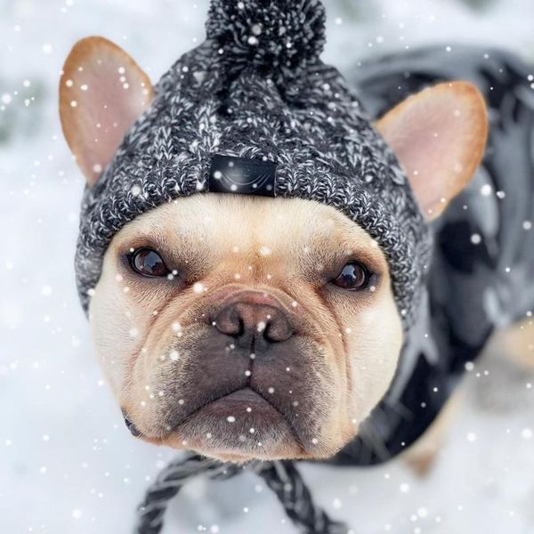 

dog apparel jackets winter hat adorable warm cap for dog,beanies with pompon crocheted snood clothes small dogs