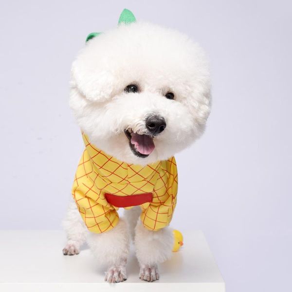 

pet dog halloween pineapple cosplay costume funny kitten party role play fancy dress up coat clothes po props products apparel