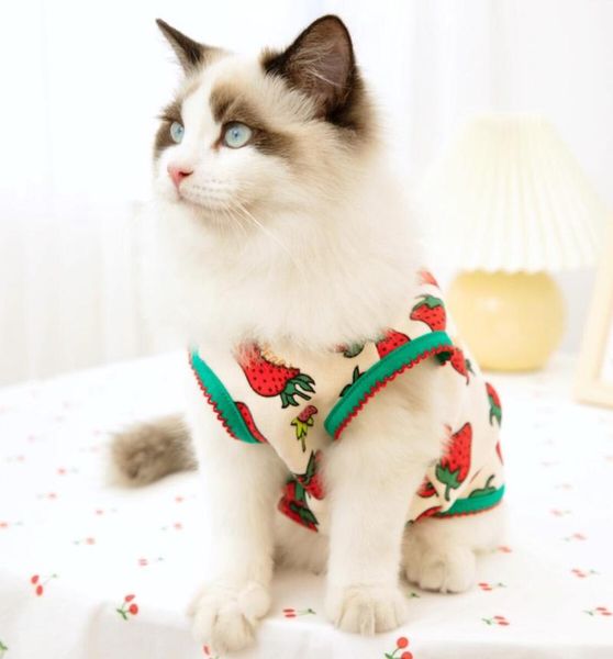 

pet cat clothes small cats vest casual warm kitten shirt dog coat costumes