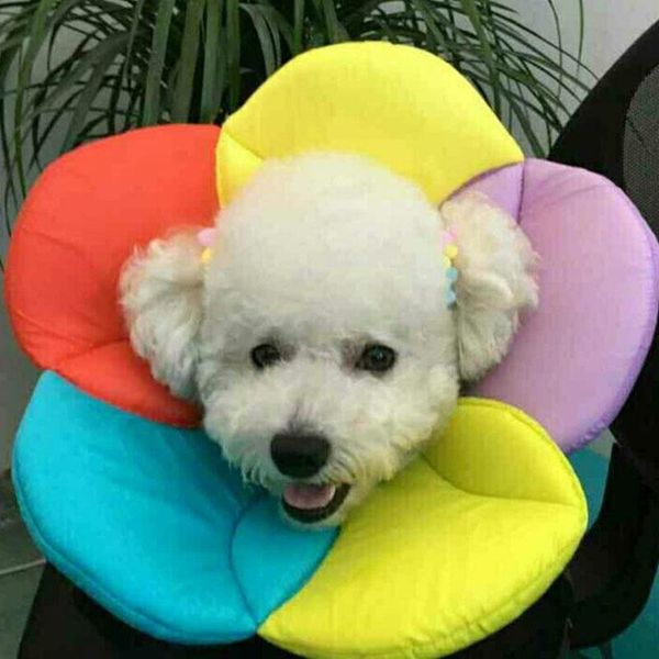 

beauty flower collar pet protection shield adjustable wound healing soft dog anti-grab protective cone cover collars & leashes