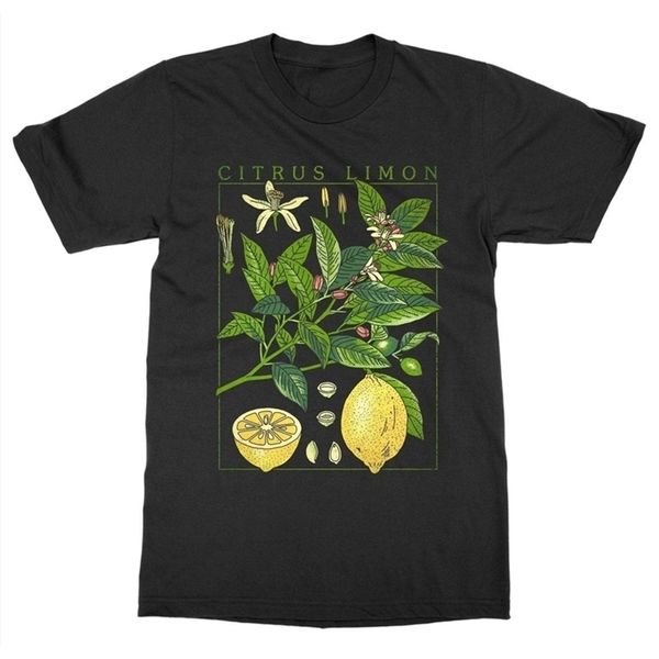 

lemon plant t-shirt short sleeve o-neck botanical garden print art botany bloom fruit flower t shirt 210512, White