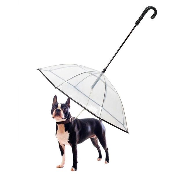 

dog apparel pet umbrella with leash mini collar chain for traction anti-lost