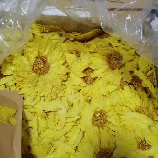 

decorative flowers & wreaths 50g/100g natural dried organic yellow lotus whole blooming flower nymphaea caerulea