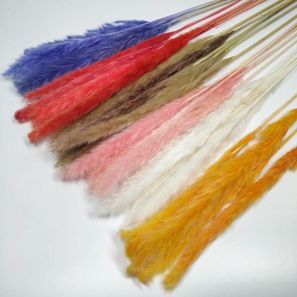 

wheat ear flower natural pampas tail grass dried flowers on diy craft scrapbook home wedding party decor bouquet decorative & wreaths