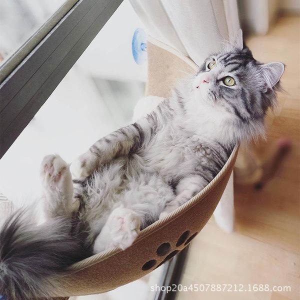 

cat beds & furniture climbing frame boat felt balcony suction cup wall pet nest grabbing board dog toy