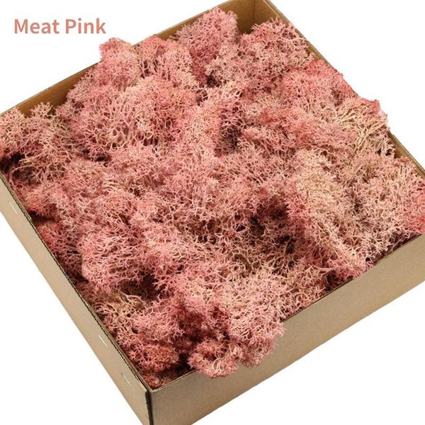 

decorative flowers & wreaths 200g/box artificial plant immortal moss / garden home flower material mini micro landscape fake decoration wall