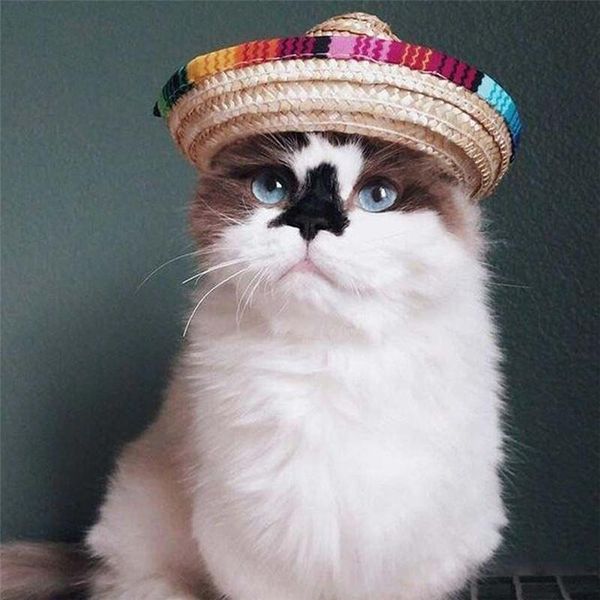 

dog apparel straw sombrero mexican hat pet adjustable buckle multicolor cat cap decoration tools