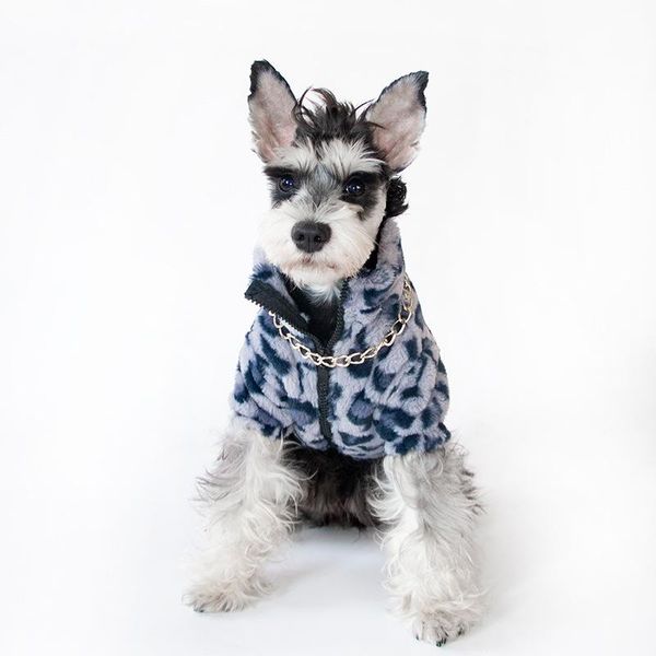 

dog apparel clothes winter leopard print coat teddy chenery fashion pet