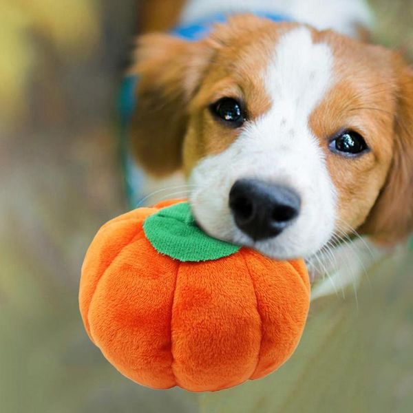 

cat toys cute pet toy vocal plush doll for cats and dogs bite resistant sleeping companion