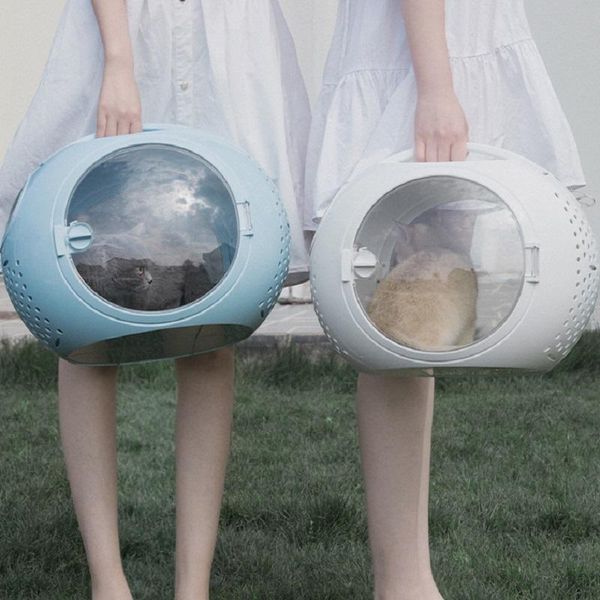 

cat carriers,crates & houses carrier bag breathable hollow-out fashion summer puppy dog portable foldable travel products