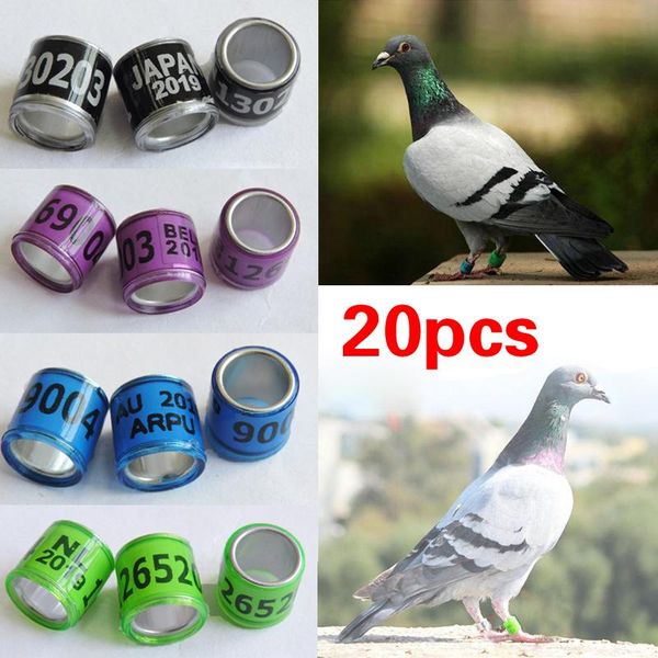 

other bird supplies 20pcs plastic personal racing pigeon gb leg foot ring bands aluminium homer