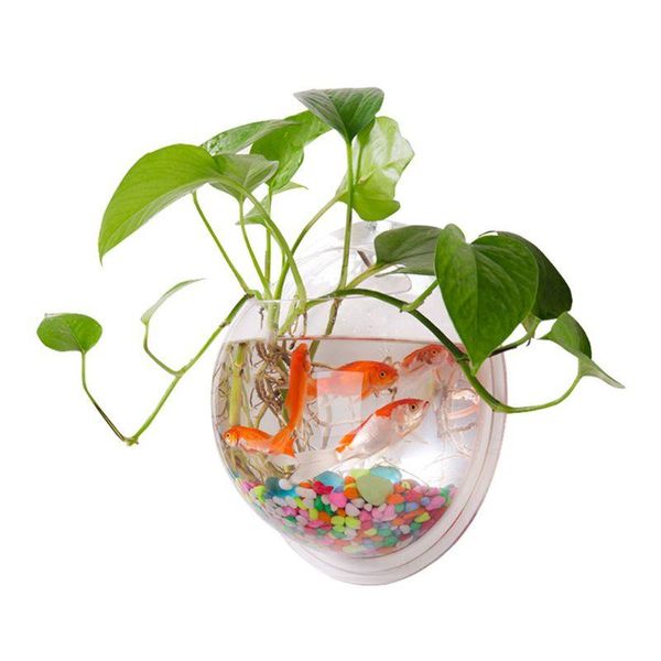 

aquariums wall-hanging fish bowl acrylic wall-mounted plant pot tank decoration planter w0yc