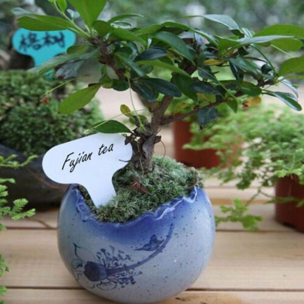 

300pcs/set plant labels gardening plastic pot marker t-type watering equipments
