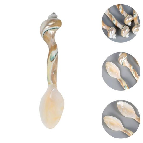 

spoons creative conch shape spoon kitchen seasoning for dessert dining