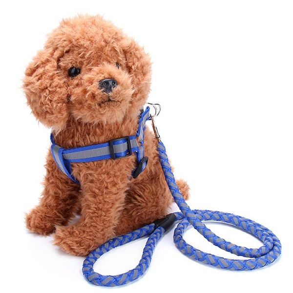 

night safety strong reflective dog leash collar pet leads belt adjustable traction rope walking fluorescence harness chest strap collars & l