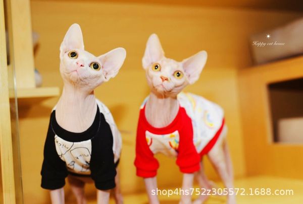 

cat costumes pet clothes summer sphinx devon rex hairless cats coat clothing for small dogs thin cotton t-shirt out fit