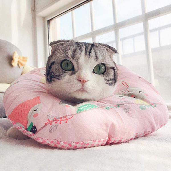 

cat beds & furniture pet protective collar dog neck cone recovery anti-bite lick wound healing dogs health oc30