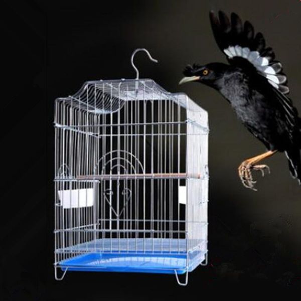 

bird cages cage myna xuanfeng parrot thrush pigeon breeding