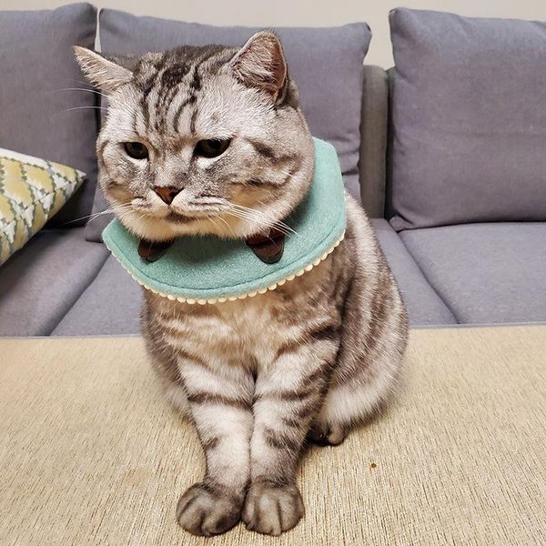 

kitten puppy saliva towel cartoon animal bib pet scarf bichon triangular binder small dog cat bandana decorations costumes