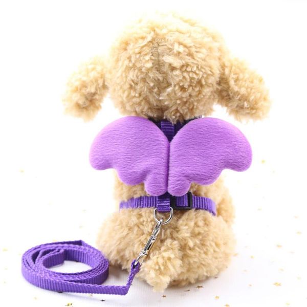 

dog collars & leashes cute angel pet leash, collar, wing design, chest back rope, little wings
