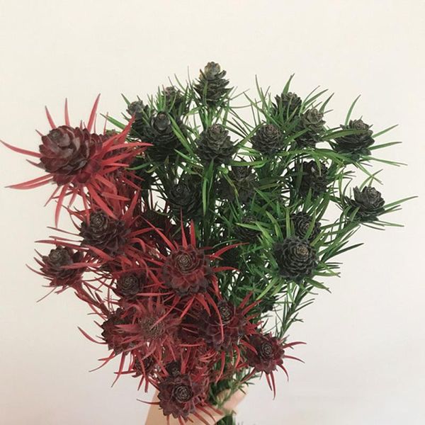 

decorative flowers & wreaths natural plant dry flower tulip fruit immortal nordic style pography props jewelry