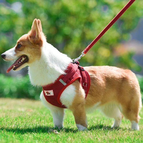 

dog collars & leashes vest style harness corduroy plaid breathable material strong light reflecting for small dogs